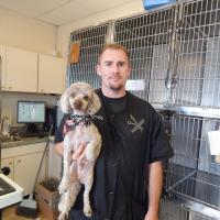 Animal Care Clinic Animal Care Clinic grooming