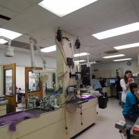 Animal Care Clinic Animal Care Clinic interior