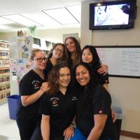 Animal Care Clinic Animal Care Clinic staff